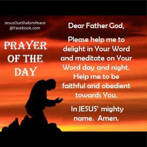 VS PINK ‘Wild at heart’ 2 full sized NEW